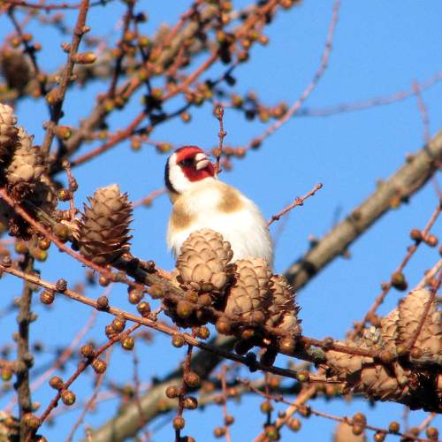 Photo #7628480