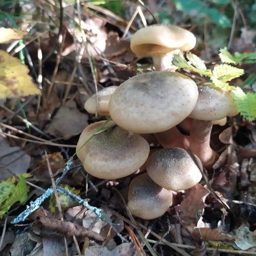 Photo #7628700
