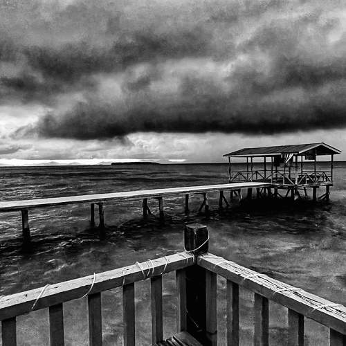 Photo #7628865