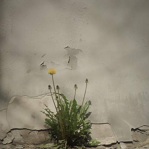 Photo #7629222