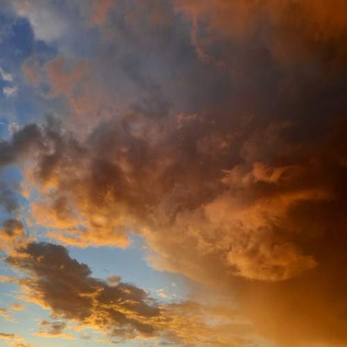 Photo #7629297