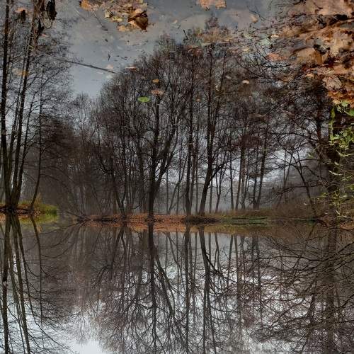 Photo #7629326