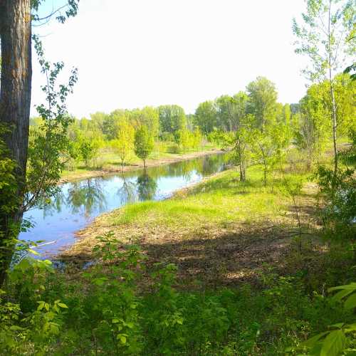 Photo #7630202