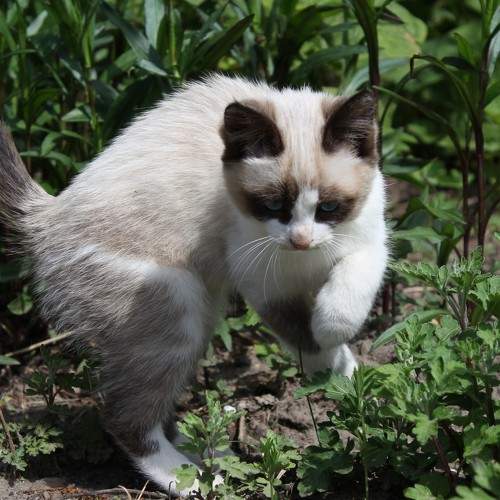 Photo #7630205