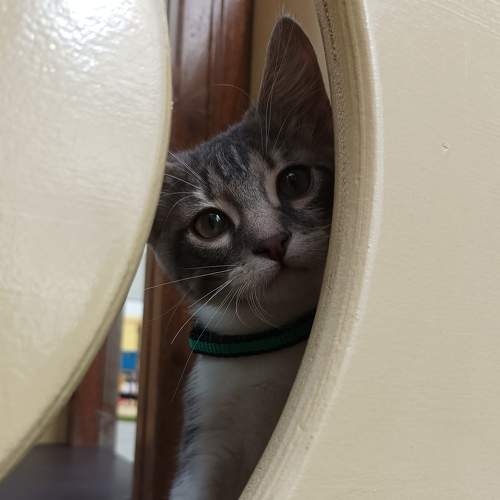 Photo #7630364