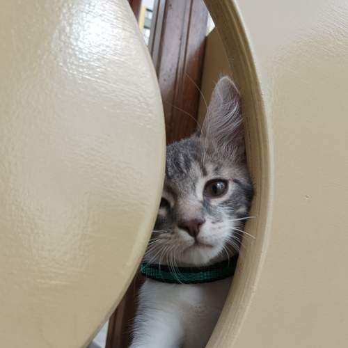 Photo #7630411