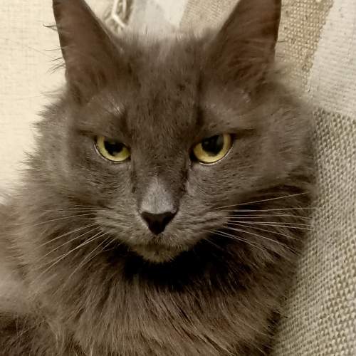 Photo #7630523