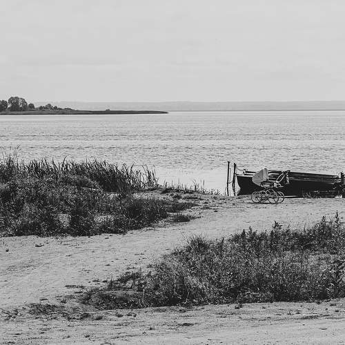 Photo #7630721