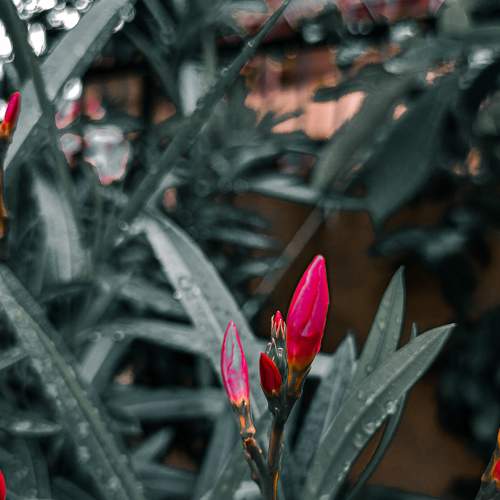 Photo #7631048