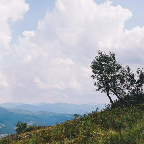 Photo #7631532