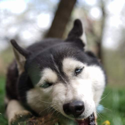 Photo #7631544