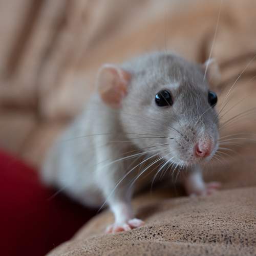 Photo #7631551