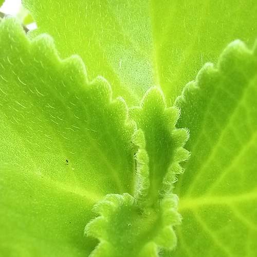 Photo #7632052