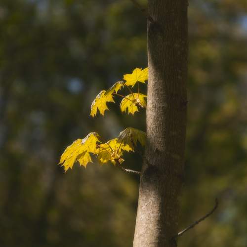 Photo #7632903