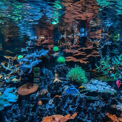 Photo #7633001