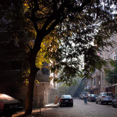 Photo #7633032