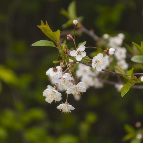 Photo #7633075
