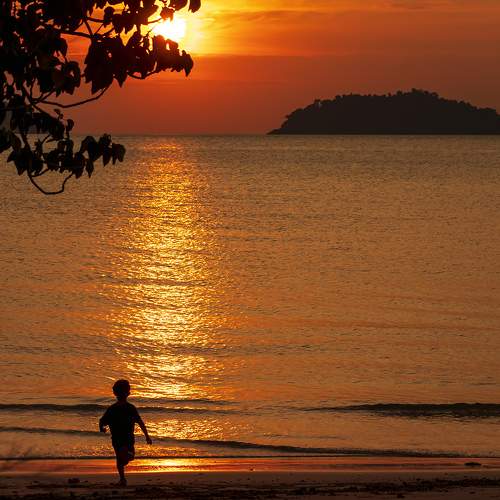 Photo #7633444