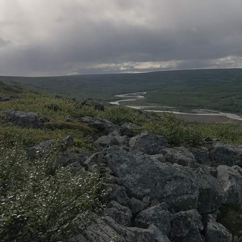 Photo #7633912