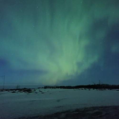 Photo #7633938