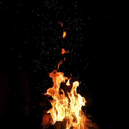 Photo #7634225