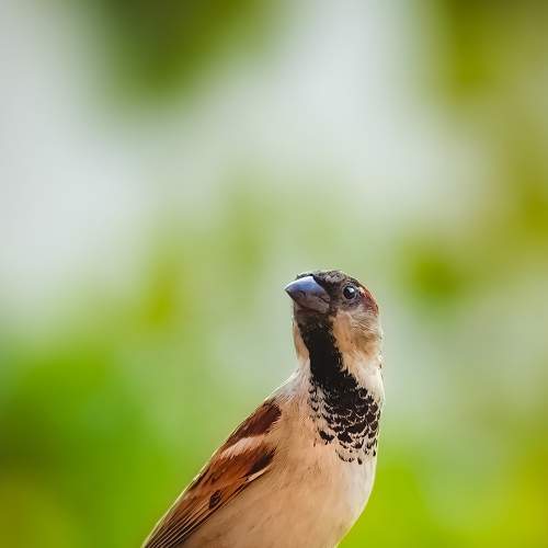 Photo #7634297