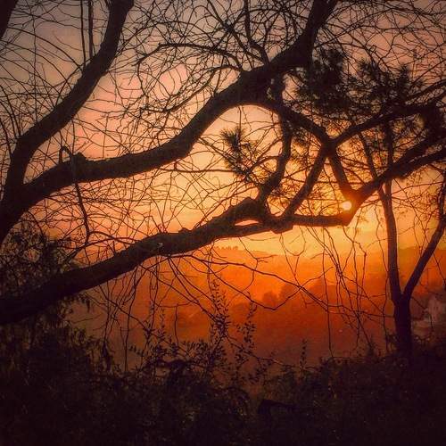 Photo #7634398