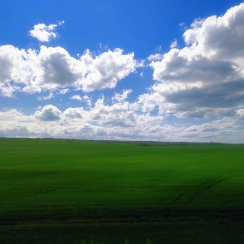 Photo #7634591