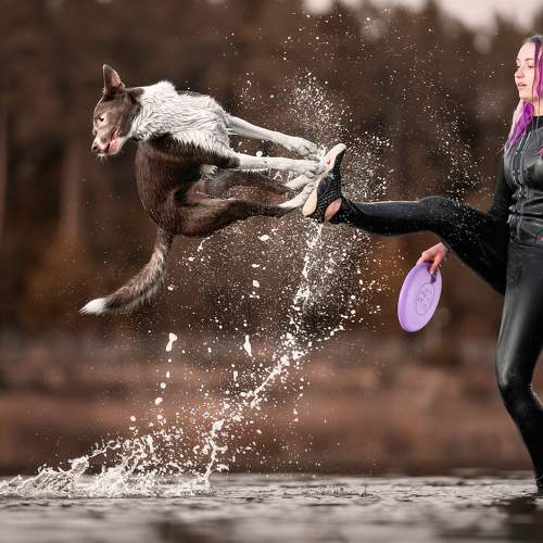 Фотография #7634681