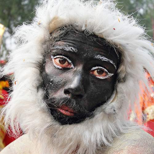 Photo #7634714