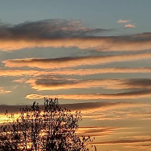 Photo #7634974