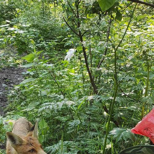 Photo #7635005