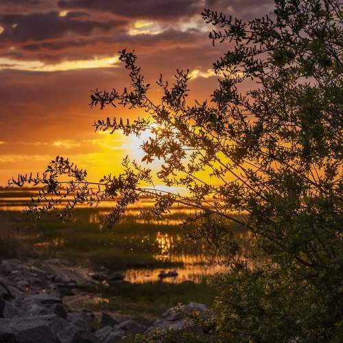 Photo #7635036