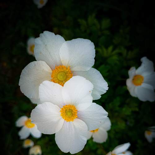 Photo #7635141