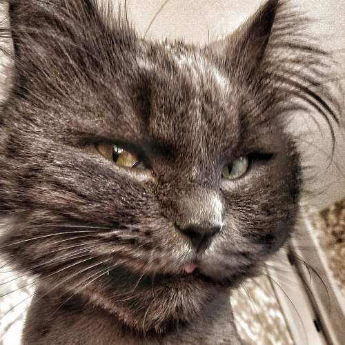 Photo #7635158