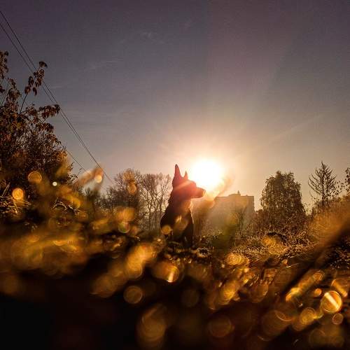 Photo #7635210