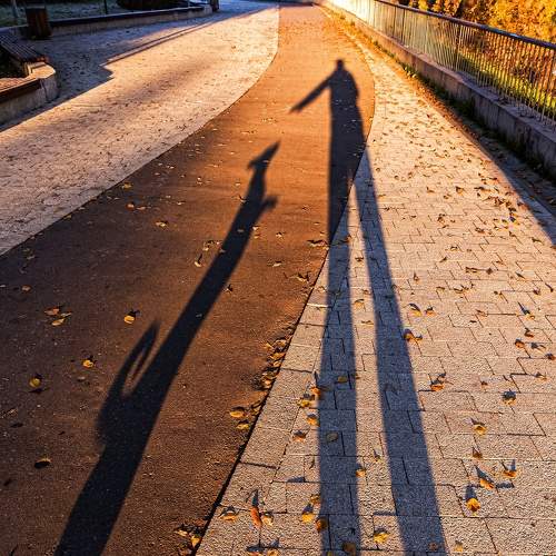 Photo #7635211