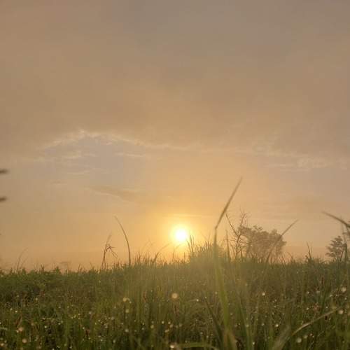 Photo #7635334