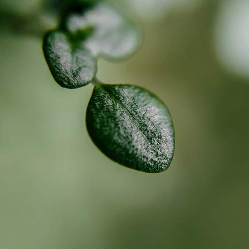 Photo #7635535