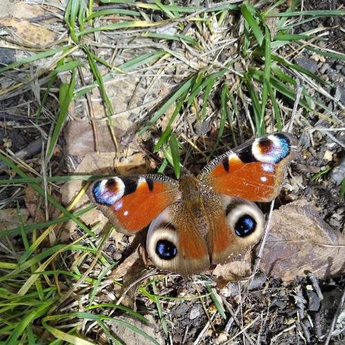 Photo #7635573