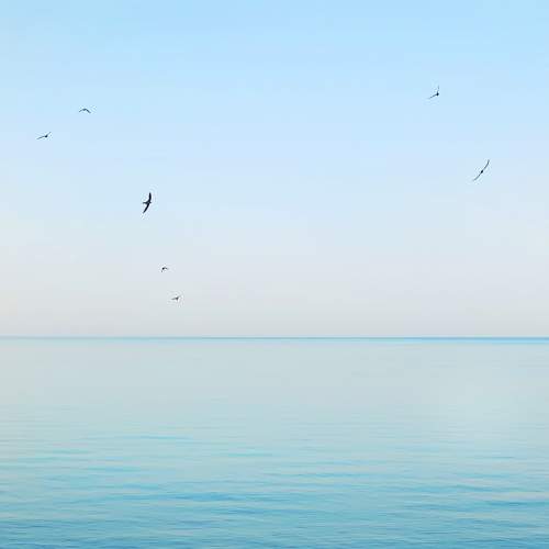 Photo #7635655