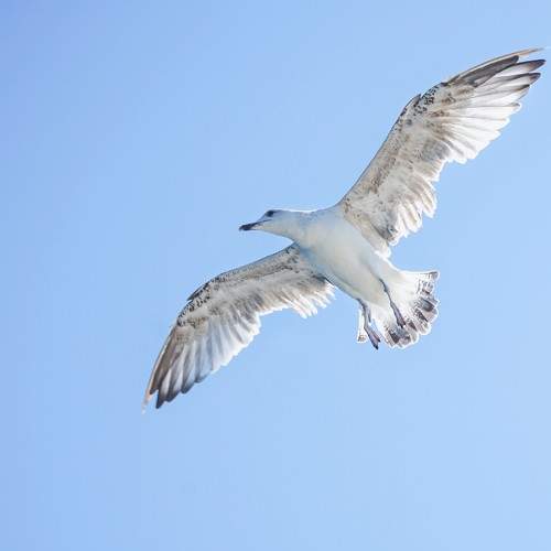Photo #7635710
