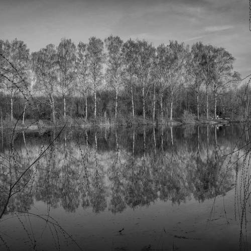 Photo #7636120