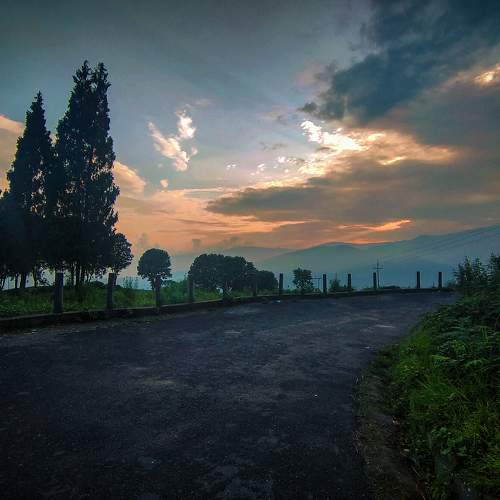 Photo #7636172