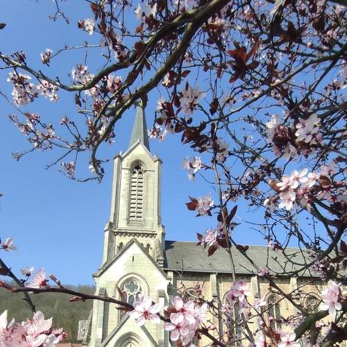 Photo #7636217