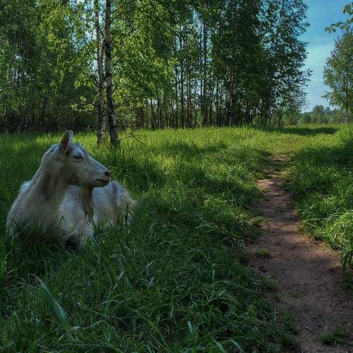 Photo #7636316