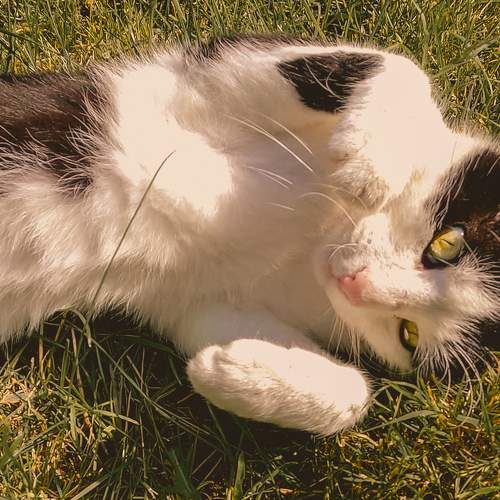 Photo #7636406