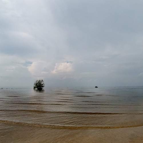 Photo #7636480