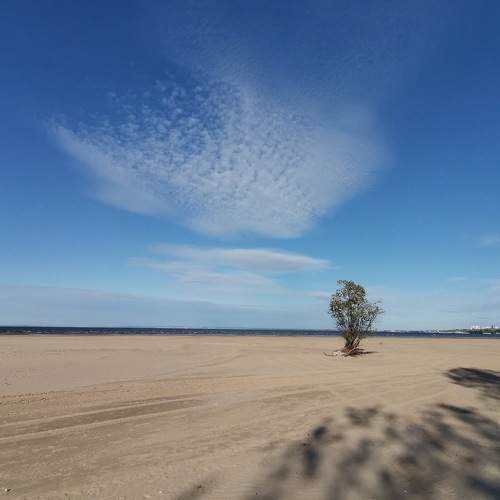 Photo #7636482