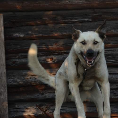 Photo #7636527